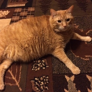 Fundraising Page: Brian Kempski